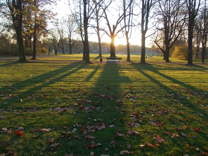 Herbst 2013 im Schlosspark