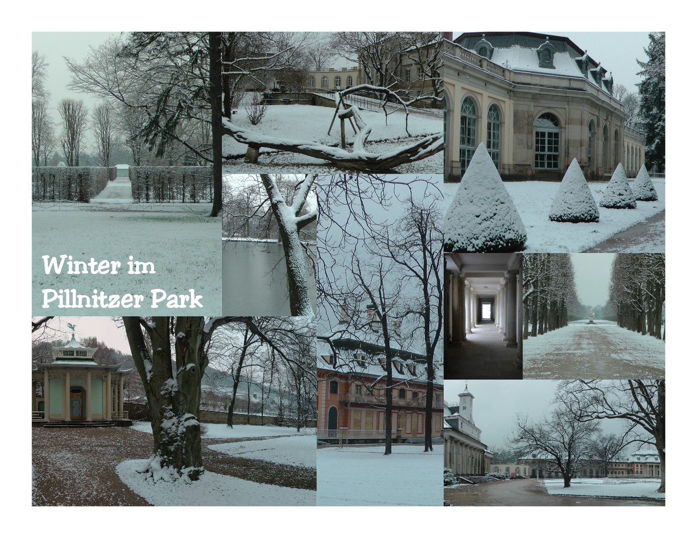 Winter im Schlosspark Pillnitz